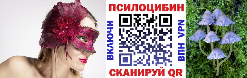 blacksprut ТОР  Балабаново  площадка телеграм  где купить наркотик  Псилоцибиновые грибы мицелий 