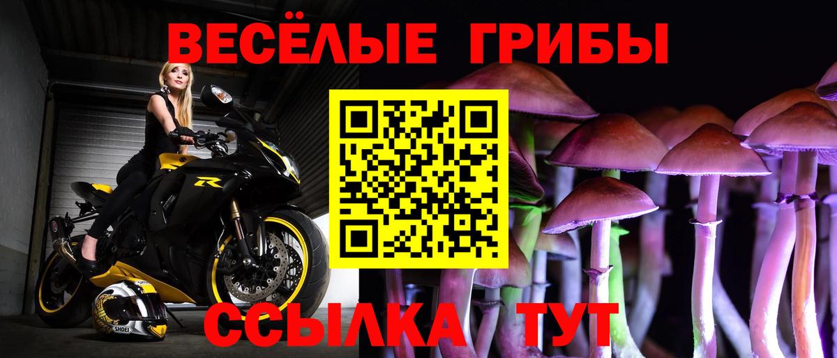Псилоцибиновые грибы GOLDEN TEACHER  Галлюциногенные грибы MAGIC MUSHROOMS  Вход с VPN  Балабаново 