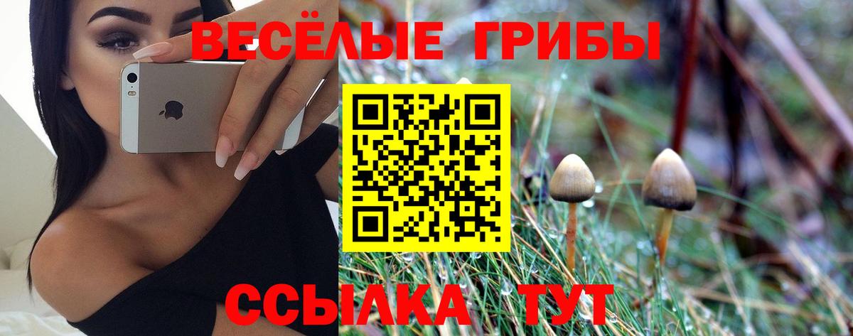 Псилоцибиновые грибы прущие грибы Балабаново